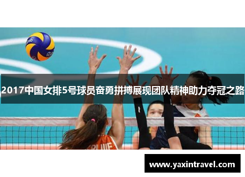 2017中国女排5号球员奋勇拼搏展现团队精神助力夺冠之路